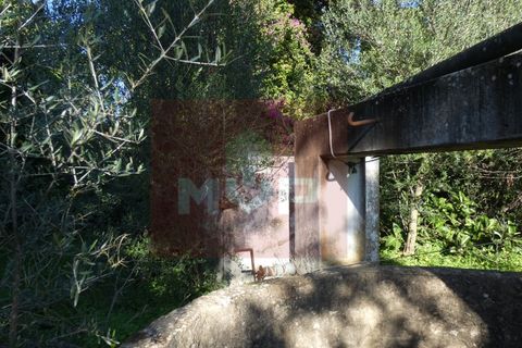 Helårsgrund i Moncarapacho, Faro, Moncarapacho - € 380.000 | Ref: 170240011 - foto 12