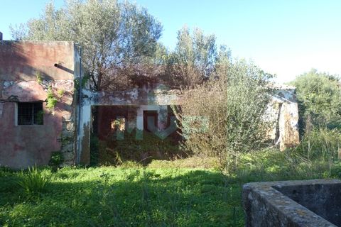 Helårsgrund i Moncarapacho, Faro, Moncarapacho - € 380.000 | Ref: 170240011 - foto 13