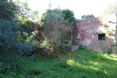 Helårsgrund i Moncarapacho, Faro, Moncarapacho - € 380.000 | Ref: 170240011 - foto 14