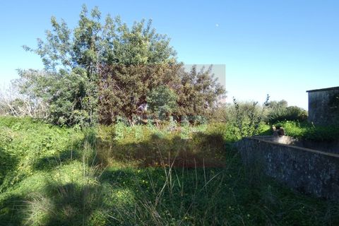 Helårsgrund i Moncarapacho, Faro, Moncarapacho - € 380.000 | Ref: 170240011 - foto 15