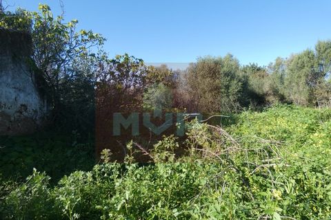 Helårsgrund i Moncarapacho, Faro, Moncarapacho - € 380.000 | Ref: 170240011 - foto 16