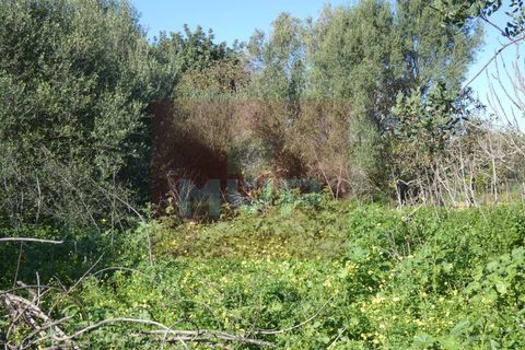 Helårsgrund i Moncarapacho, Faro, Moncarapacho - € 380.000 | Ref: 170240011 - foto 17