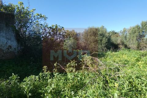 Helårsgrund i Moncarapacho, Faro, Moncarapacho - € 380.000 | Ref: 170240011 - foto 19