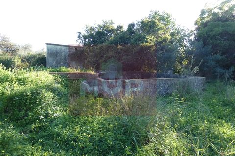 Helårsgrund i Moncarapacho, Faro, Moncarapacho - € 380.000 | Ref: 170240011 - foto 20