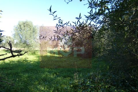 Helårsgrund i Moncarapacho, Faro, Moncarapacho - € 380.000 | Ref: 170240011 - foto 21