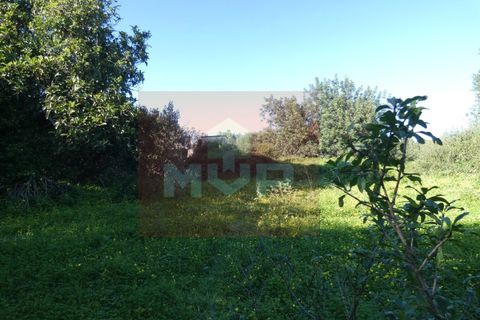 Helårsgrund i Moncarapacho, Faro, Moncarapacho - € 380.000 | Ref: 170240011 - foto 22