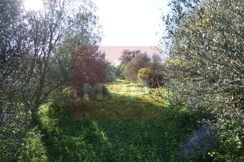 Helårsgrund i Moncarapacho, Faro, Moncarapacho - € 380.000 | Ref: 170240011 - foto 24