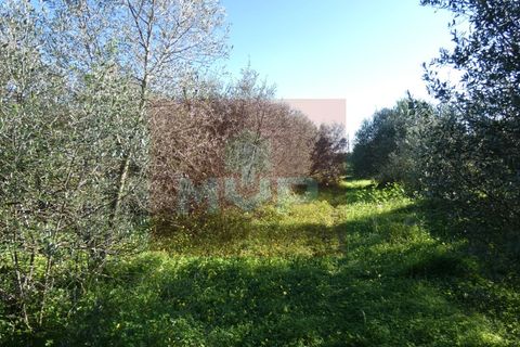 Helårsgrund i Moncarapacho, Faro, Moncarapacho - € 380.000 | Ref: 170240011 - foto 25