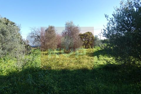 Helårsgrund i Moncarapacho, Faro, Moncarapacho - € 380.000 | Ref: 170240011 - foto 26