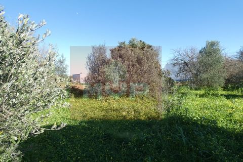 Helårsgrund i Moncarapacho, Faro, Moncarapacho - € 380.000 | Ref: 170240011 - foto 27