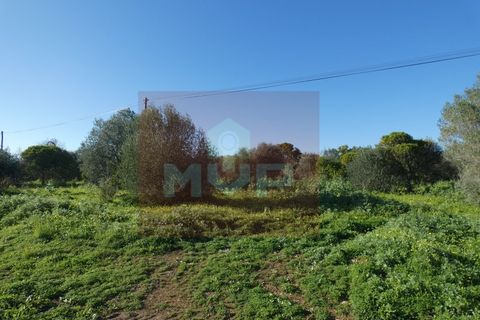 Helårsgrund i Moncarapacho, Faro, Moncarapacho - € 380.000 | Ref: 170240011 - foto 29