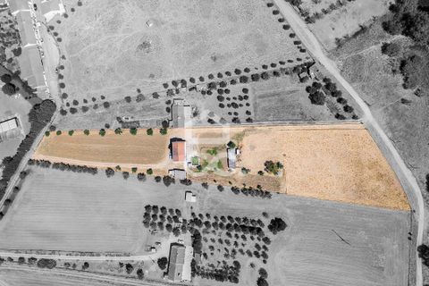 Farm hus i Evora, Evora, Evora - € 450.000 | Ref: 318/Q/03662 - foto 2