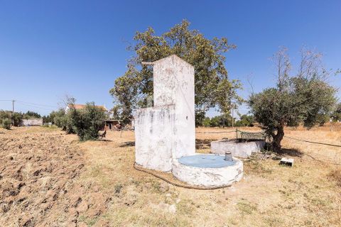 Farm hus i Evora, Evora, Evora - € 450.000 | Ref: 318/Q/03662 - foto 24