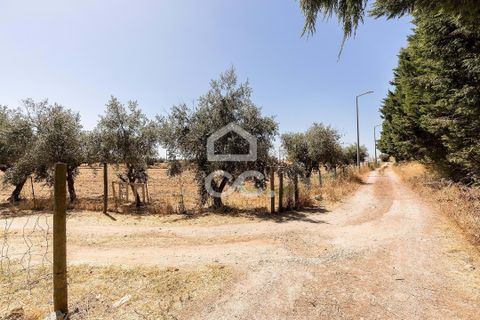 Farm hus i Evora, Evora, Evora - € 450.000 | Ref: 318/Q/03662 - foto 25