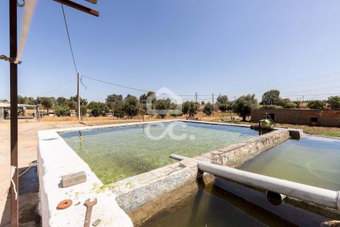 Farm hus i Evora, Evora, Evora - € 450.000 | Ref: 318/Q/03662 - foto 27