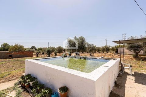 Farm hus i Evora, Evora, Evora - € 450.000 | Ref: 318/Q/03662 - foto 28