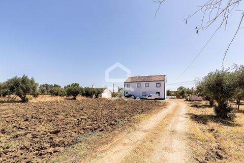 Farm hus i Evora, Evora, Evora - € 450.000 | Ref: 318/Q/03662 - foto 30