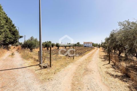 Farm hus i Evora, Evora, Evora - € 450.000 | Ref: 318/Q/03662 - foto 33