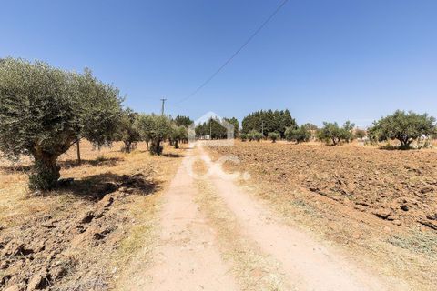 Farm hus i Evora, Evora, Evora - € 450.000 | Ref: 318/Q/03662 - foto 34