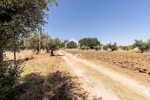 Farm hus i Evora, Evora, Evora - € 450.000 | Ref: 318/Q/03662 - foto 35