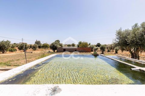 Farm hus i Evora, Evora, Evora - € 450.000 | Ref: 318/Q/03662 - foto 37