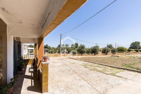 Farm hus i Evora, Evora, Evora - € 450.000 | Ref: 318/Q/03662 - foto 39