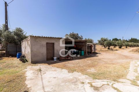 Farm hus i Evora, Evora, Evora - € 450.000 | Ref: 318/Q/03662 - foto 41