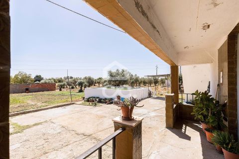 Farm hus i Evora, Evora, Evora - € 450.000 | Ref: 318/Q/03662 - foto 42