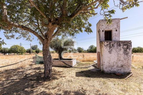 Farm hus i Evora, Evora, Evora - € 450.000 | Ref: 318/Q/03662 - foto 43
