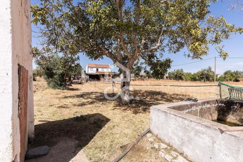 Farm hus i Evora, Evora, Evora - € 450.000 | Ref: 318/Q/03662 - foto 44