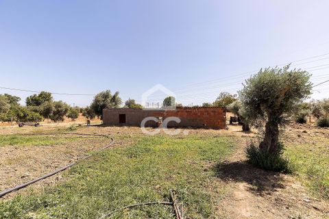 Farm hus i Evora, Evora, Evora - € 450.000 | Ref: 318/Q/03662 - foto 45