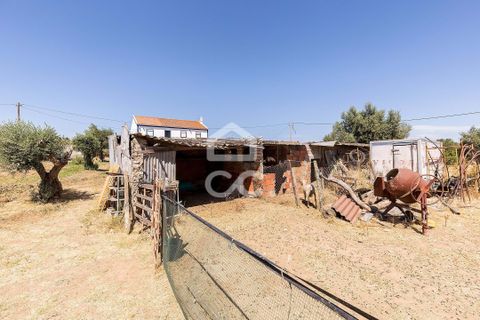 Farm hus i Evora, Evora, Evora - € 450.000 | Ref: 318/Q/03662 - foto 46