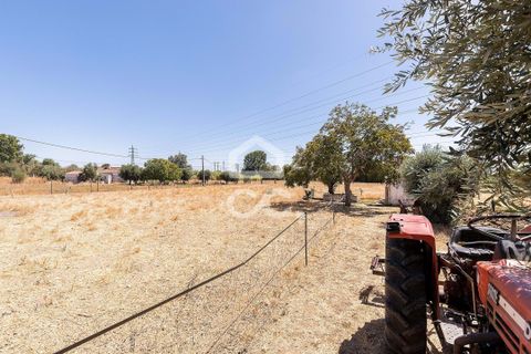Farm hus i Evora, Evora, Evora - € 450.000 | Ref: 318/Q/03662 - foto 48