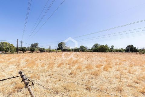 Farm hus i Evora, Evora, Evora - € 450.000 | Ref: 318/Q/03662 - foto 49