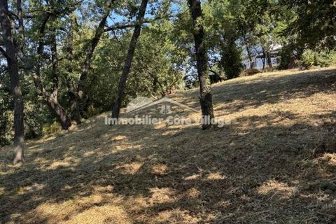 Terra a Contes, Alpes-Maritimes, Contes - € 250.000 | Ref: getkey_u_487079624 - foto 3