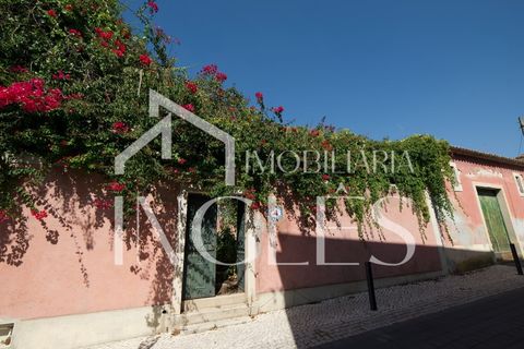 Villa i Cartaxo, Santarem, Cartaxo - € 285.000 | Ref: 1865 - foto 7