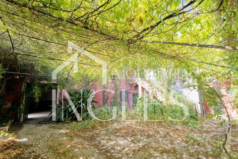 Villa i Cartaxo, Santarem, Cartaxo - € 285.000 | Ref: 1865 - foto 8