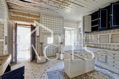 Villa i Cartaxo, Santarem, Cartaxo - € 285.000 | Ref: 1865 - foto 31