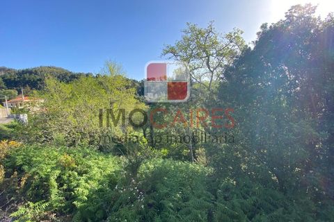 Terra a Camacha, Madeira, Camacha - € 135.000 | Ref: SOL_4706 - foto 2