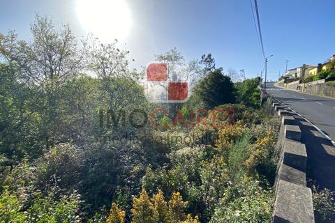 Terra a Camacha, Madeira, Camacha - € 135.000 | Ref: SOL_4706 - foto 3