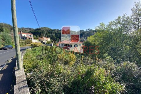 Terra a Camacha, Madeira, Camacha - € 135.000 | Ref: SOL_4706 - foto 4
