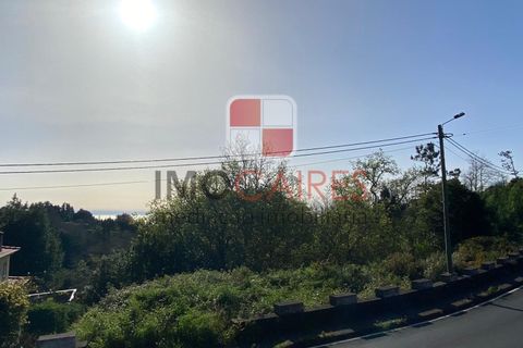 Terra a Camacha, Madeira, Camacha - € 135.000 | Ref: SOL_4706 - foto 7