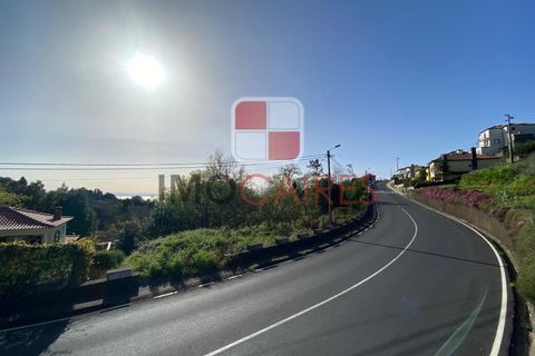 Terra a Camacha, Madeira, Camacha - € 135.000 | Ref: SOL_4706 - foto 8