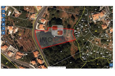 Terra a Camacha, Madeira, Camacha - € 135.000 | Ref: SOL_4706 - foto 9