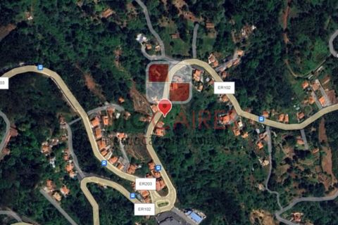Terra a Camacha, Madeira, Camacha - € 135.000 | Ref: SOL_4706 - foto 10
