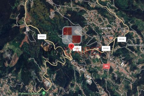 Terra a Camacha, Madeira, Camacha - € 135.000 | Ref: SOL_4706 - foto 11