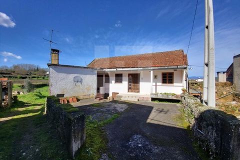 Villa a Santa Comba Dao, Viseu, Santa Comba Dao - € 39.000 | Ref: GRRE-00438 - foto 18