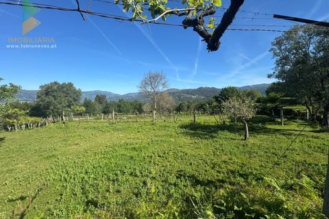 Villa a Azere, Viana do Castelo, Azere - € 120.000 | Ref: AVV-008-008 - foto 3