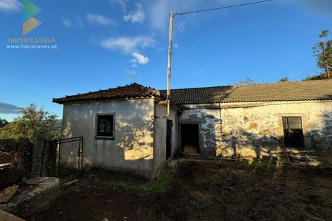 Villa a Azere, Viana do Castelo, Azere - € 120.000 | Ref: AVV-008-008 - foto 4