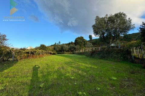 Villa a Azere, Viana do Castelo, Azere - € 120.000 | Ref: AVV-008-008 - foto 6